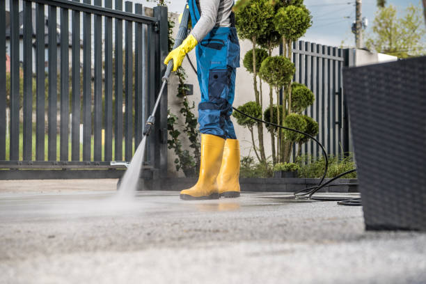 Best Local Pressure Washing Services  in Providence, RI